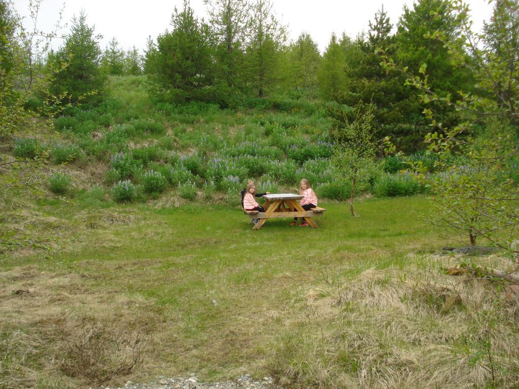 Vinland Camping Pods Эгильсстадир Номер фото
